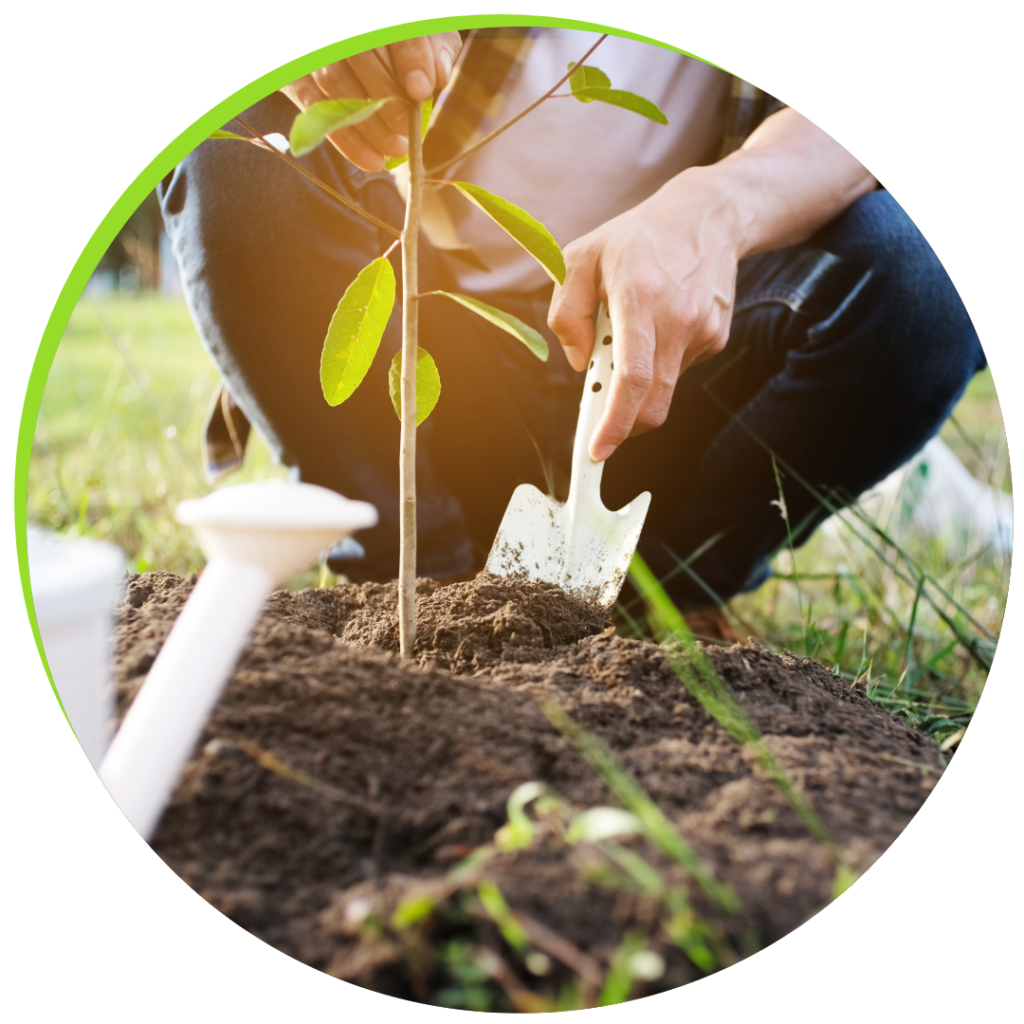 woman digging in the dirt with a shovel