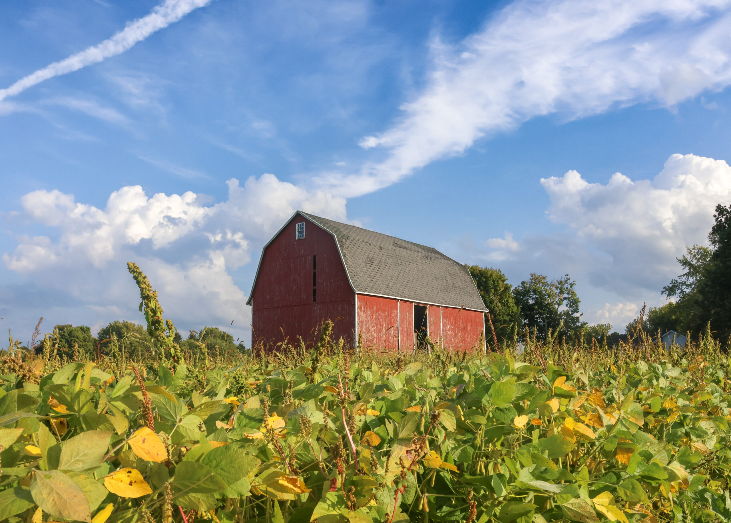 Intro Image - Empowering Genesee County: Local Giving, Lasting Impact